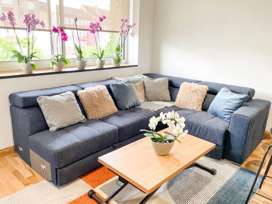 Appartement Cote Jardin - Centre Alençon Eksteriør billede